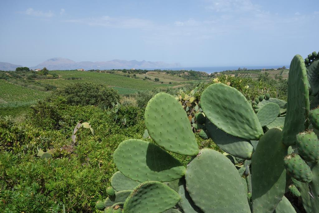 Villa Casamatta Trappeto  Esterno foto
